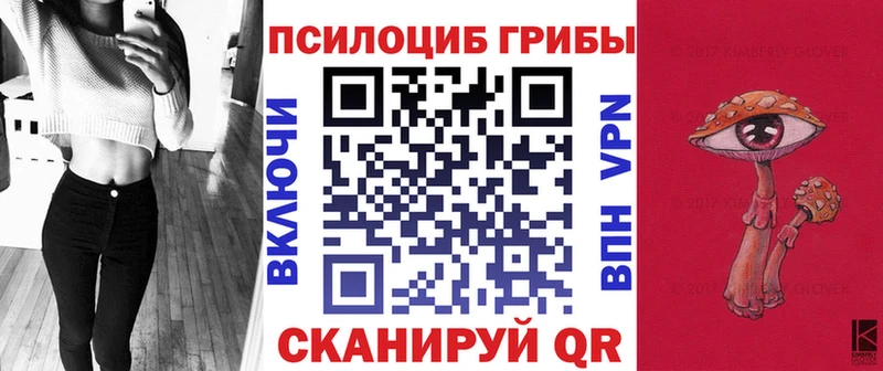 Купить закладки  Плёс  Псилоцибиновые грибы мухоморы 